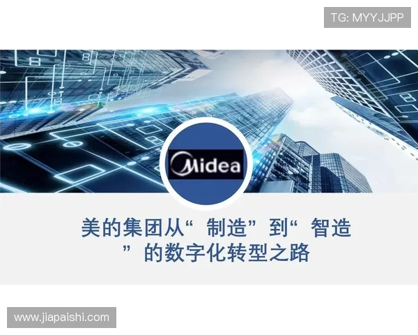 杭州滑板队的转型之路：得失与挑战的深度剖析