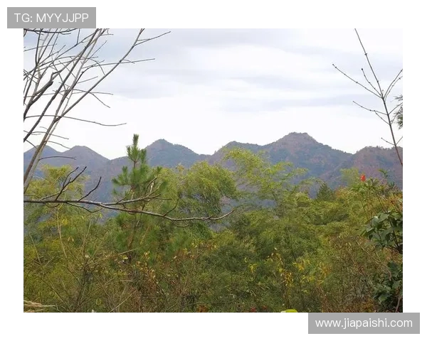 客山与奥伦堡的较量揭示了足球战术与团队合作的重要性