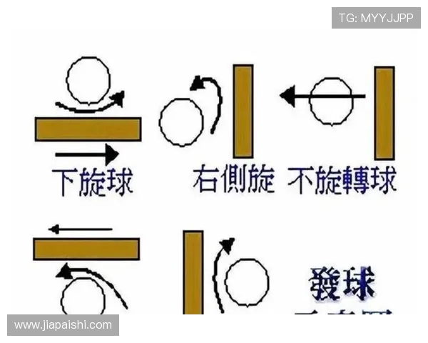 从零起步掌握乒乓球意识的全面指南与实战技巧分享 从零起步掌握乒乓球意识的全面指南与实战技巧分享