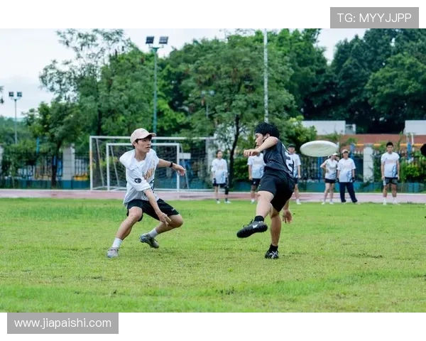 广州飞盘队的转型之路与未来发展趋势深度解析
